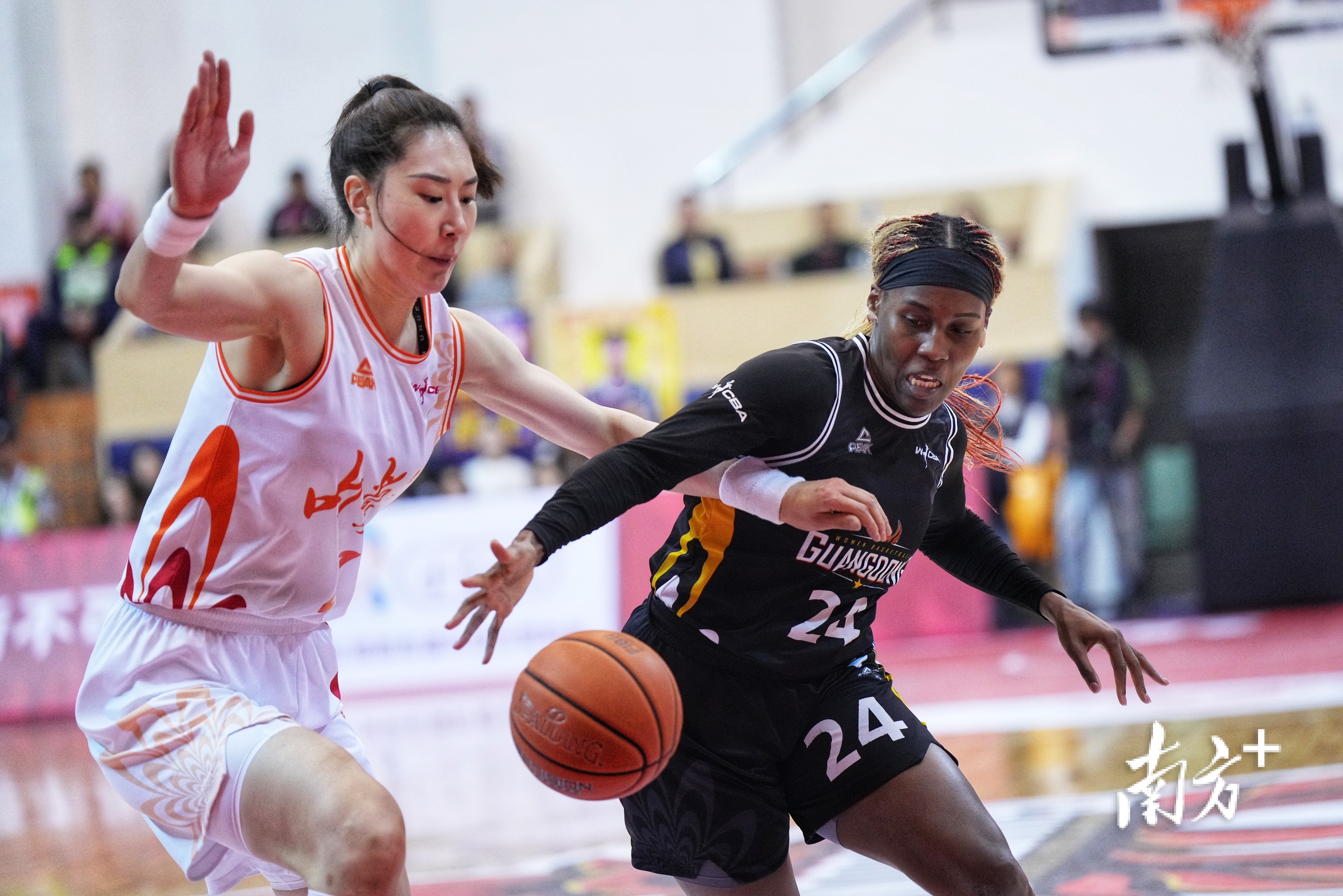 广东队主场失守，惨遭客场三连败(广东队目前战绩)